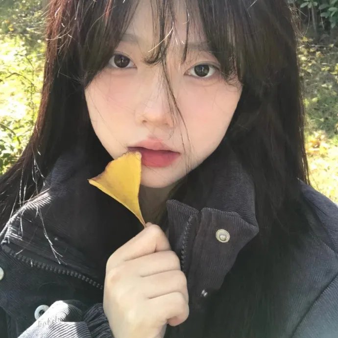 少年好莱坞第一季