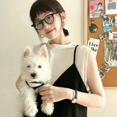 傲骨之战第六季